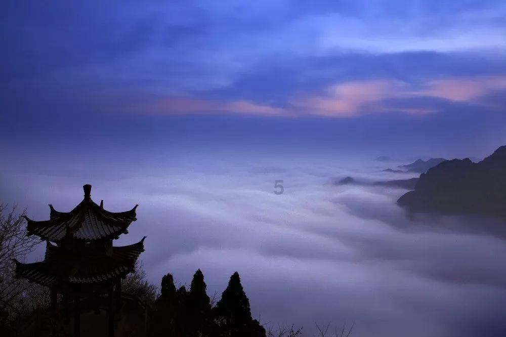 怪物大拼图
