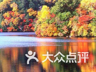 室友有哪些奇葩行为惊呆了你？游戏画面