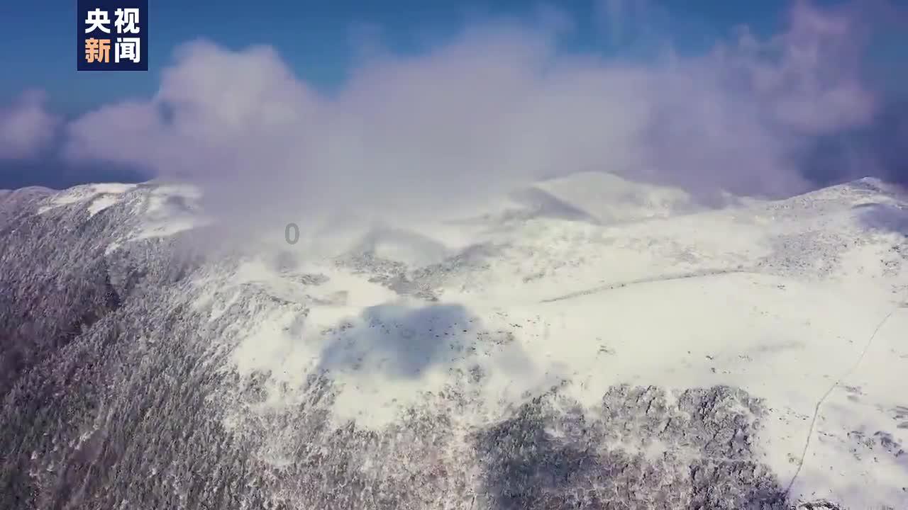 地方新闻精选|浙江发现一例H3N2与H10N5混合感染病例 山西晋中一公职人员索贿被免职
