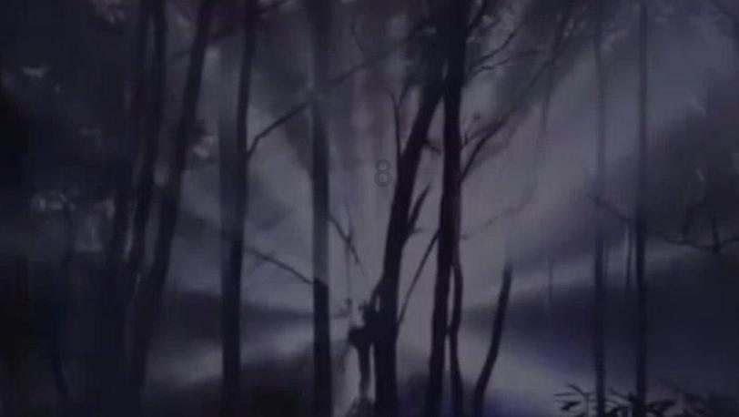 蓝狐视频