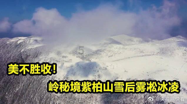 记者:17岁的中场球员伯格瓦尔接近加盟巴萨