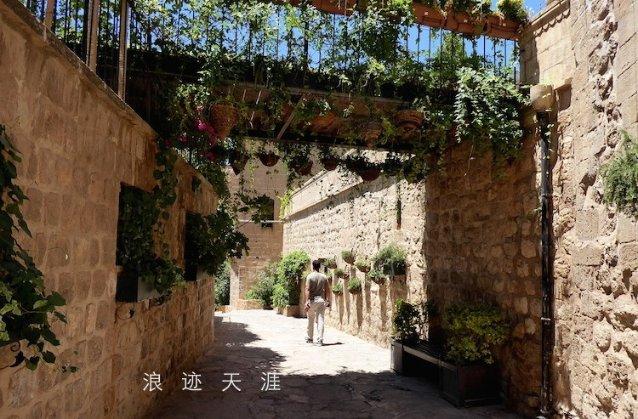 各地“隐藏版”新特产火爆“出圈” 折射农业生产格局新变化