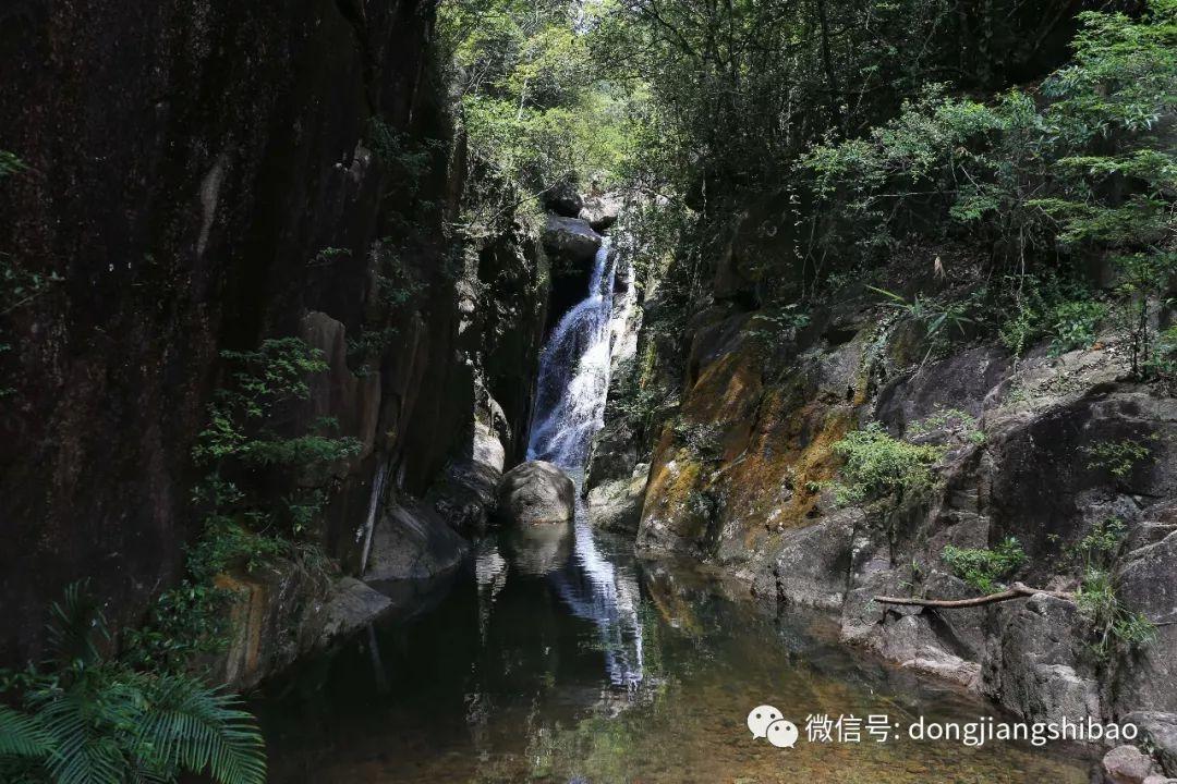 虫虫助手下载