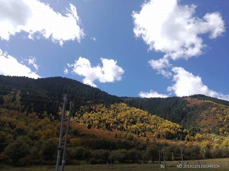沪江开心词场