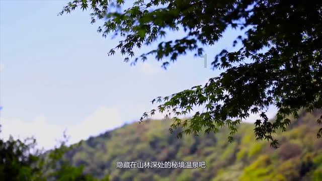 信息资源联动发布 工作链条互通共享