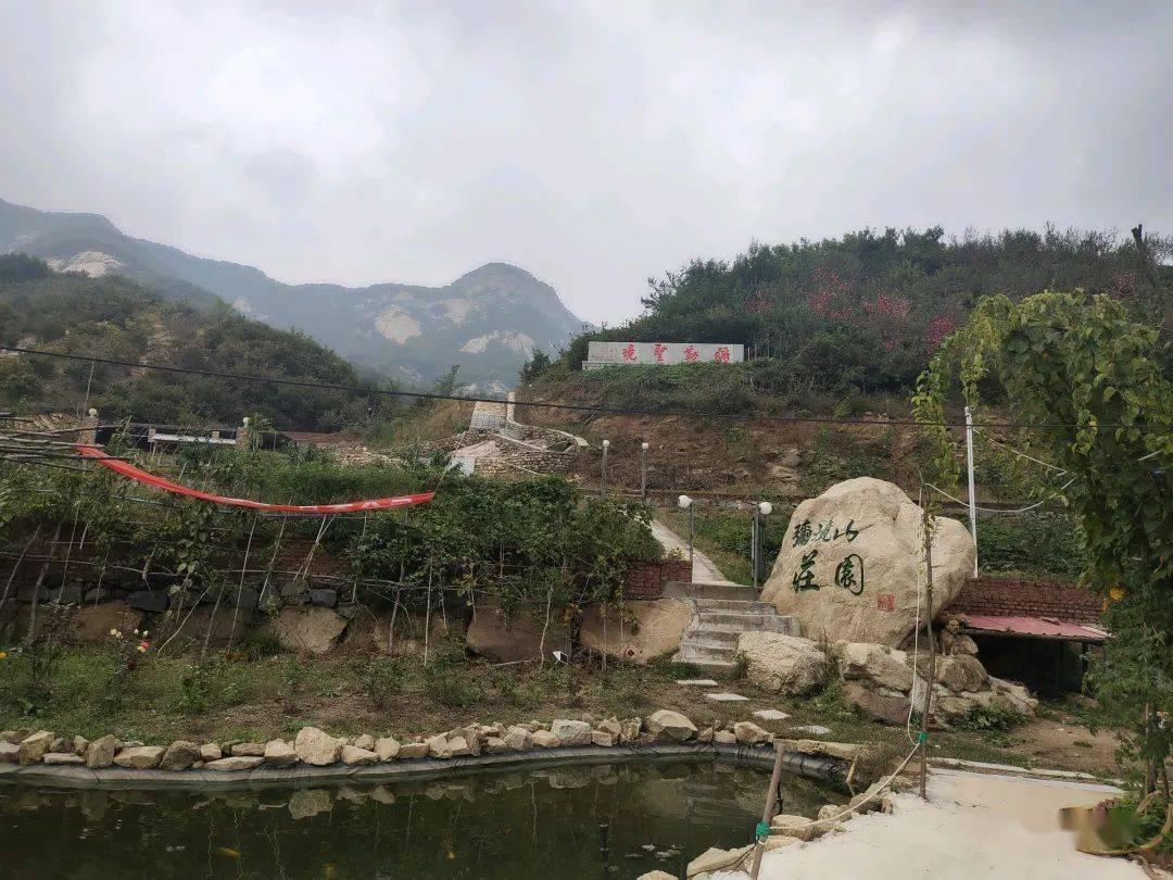 沙漠避难所