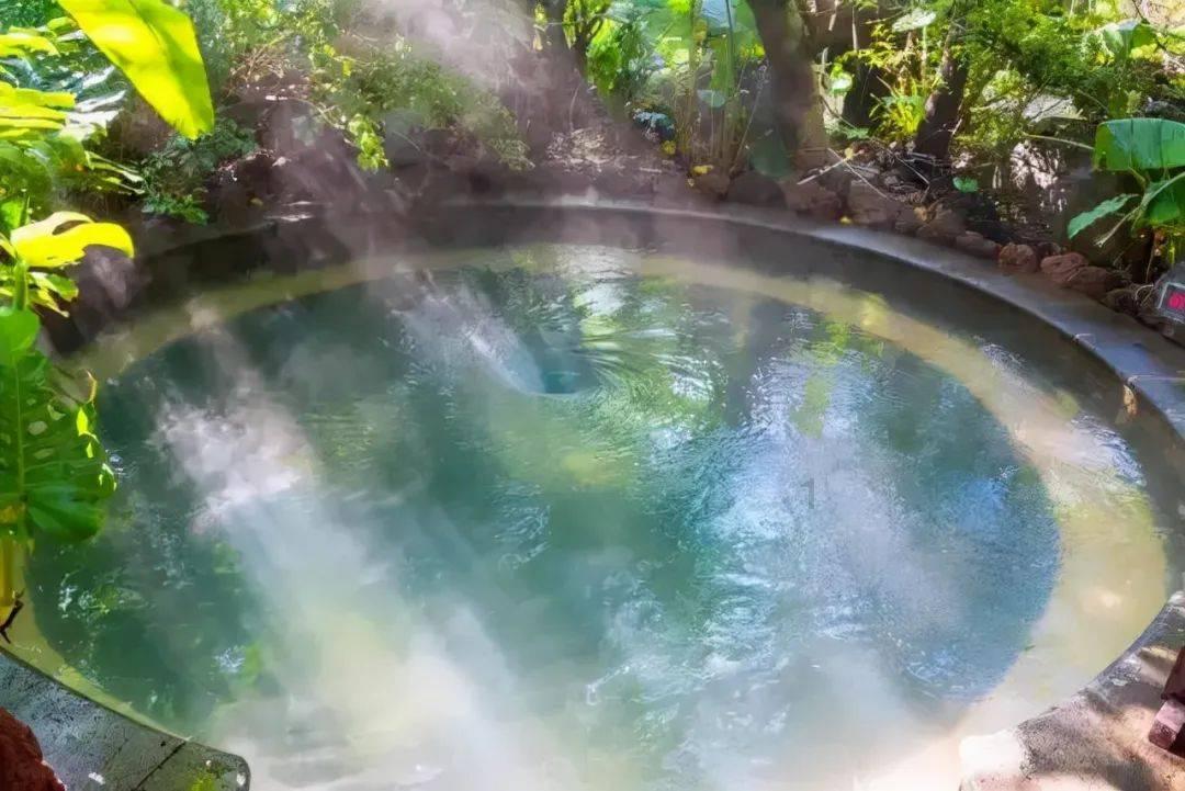 红花酢浆草的危害