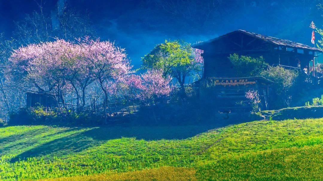 虫虫助手下载