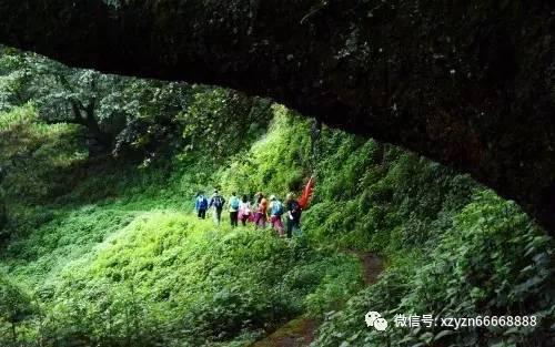 战僵特警