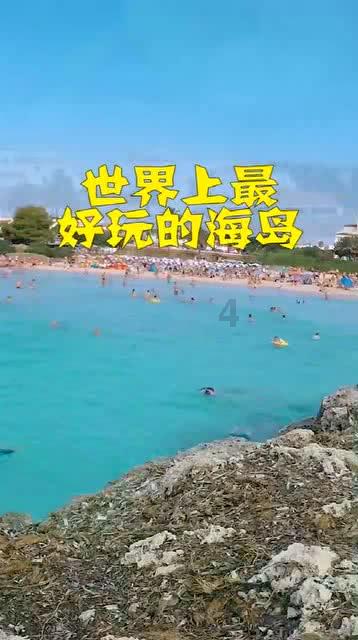 解救金刚鹦鹉