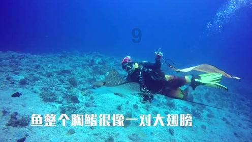 平顶山金利源置业被责令限期消除重大铁路事故隐患,并罚款1.5万