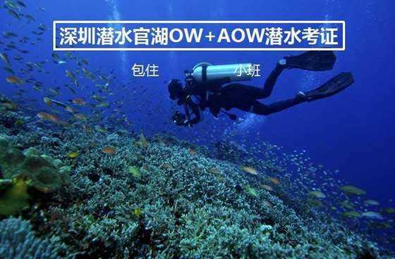 【东营招聘】多家公司在招操作工、厨师、维修、电工等岗位……求职速看!!!