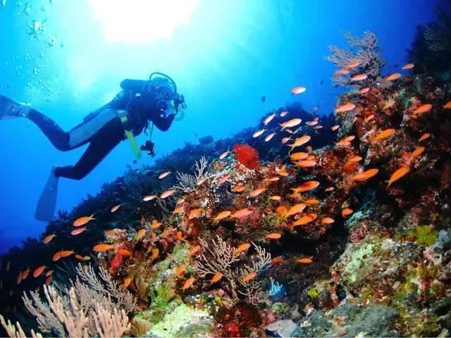 流亡海外的国军93师，后来结局怎样？没有国籍，很想回到祖国