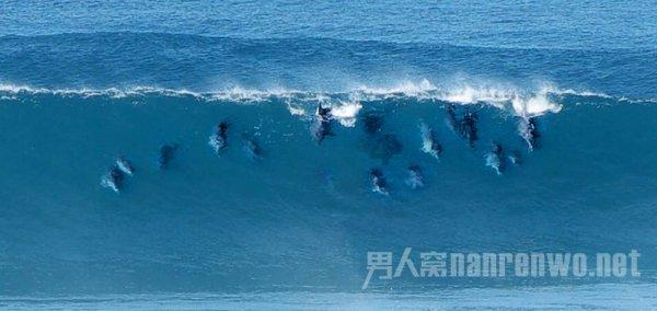重读《孔乙己》：年少不懂孔乙己，读懂已是书中人，成年人的悲哀