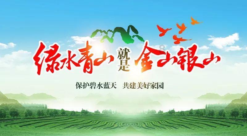 不止尔滨,沈阳近400年老北市“龙凤呈祥”氛围拉满,年味满满