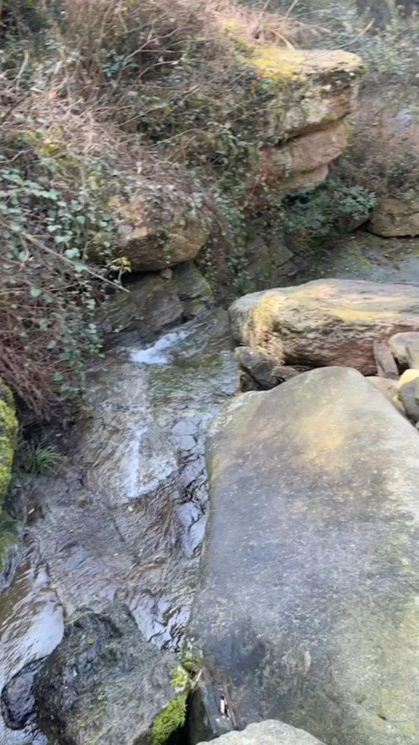 虫虫助手下载
