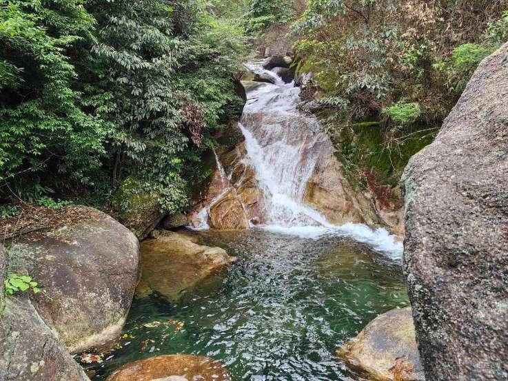 李永群主动投案接受审查调查