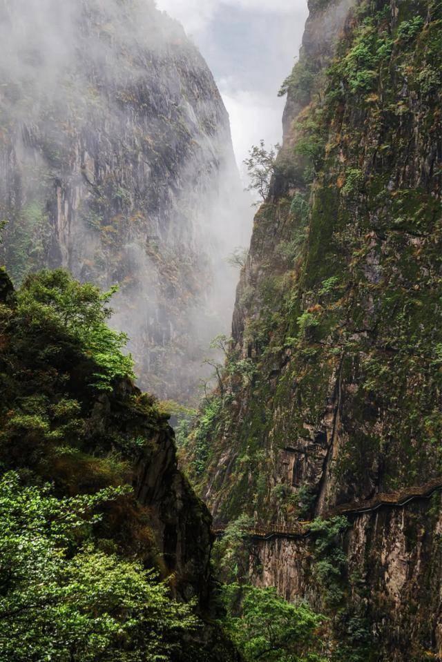 沪江开心词场