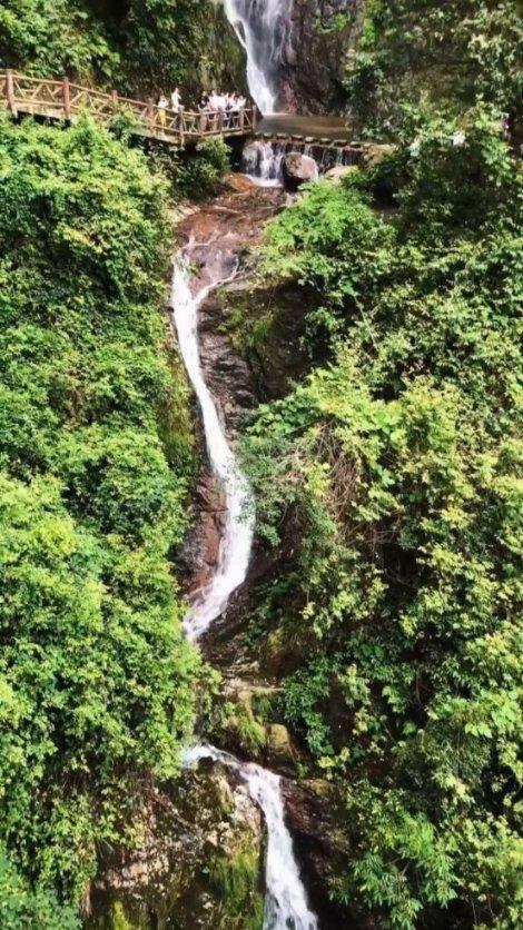 动物帮帮忙保卫家园