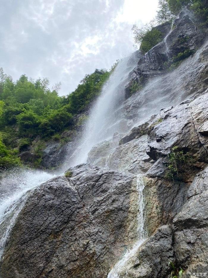 动物帮帮忙保卫家园