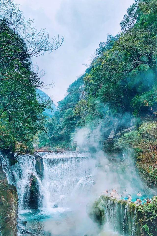 奇妙香蕉之旅