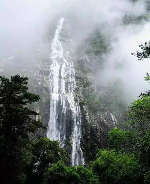 春雨直播app