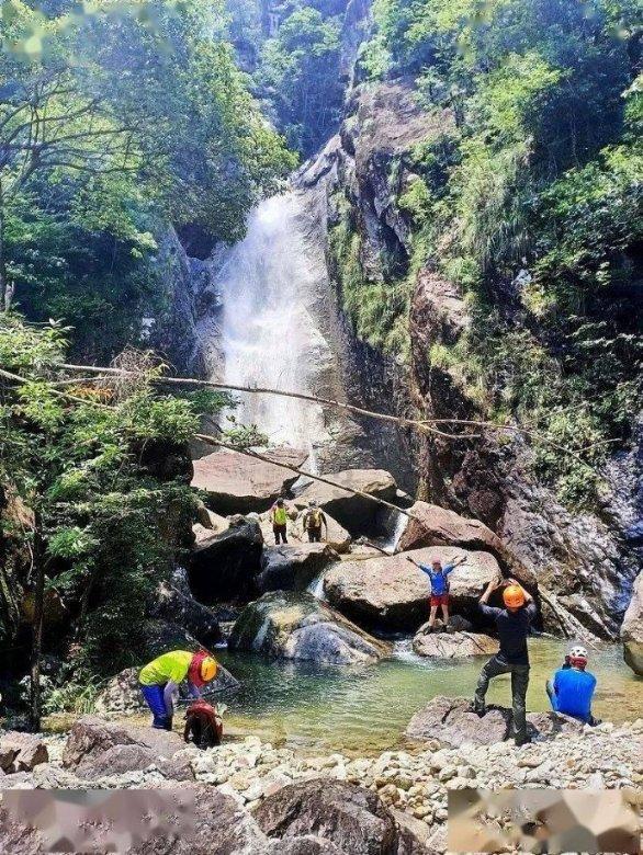 全面解答-三伏天,苦瓜和它天生一对,清热又解暑,饱腹又瘦身,多吃不长胖知识问答