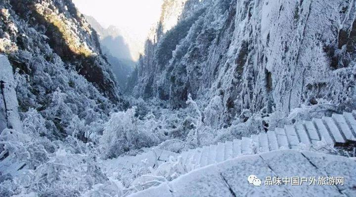 全民剧本大师内置菜单