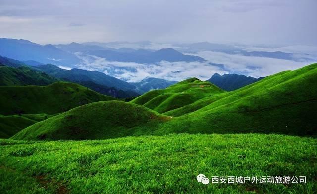 如何调制白灼虾的蘸料？