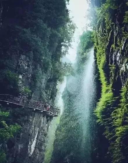 喜羊羊要上200层