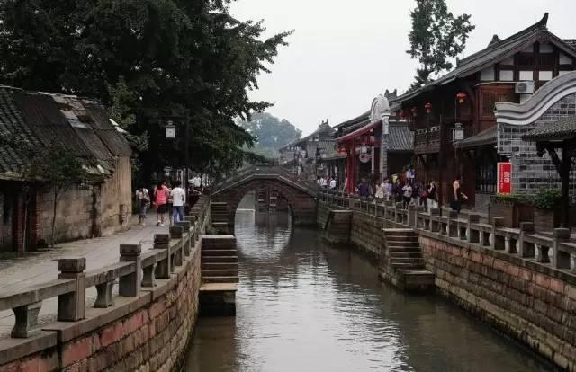 飞扬的独眼鸟