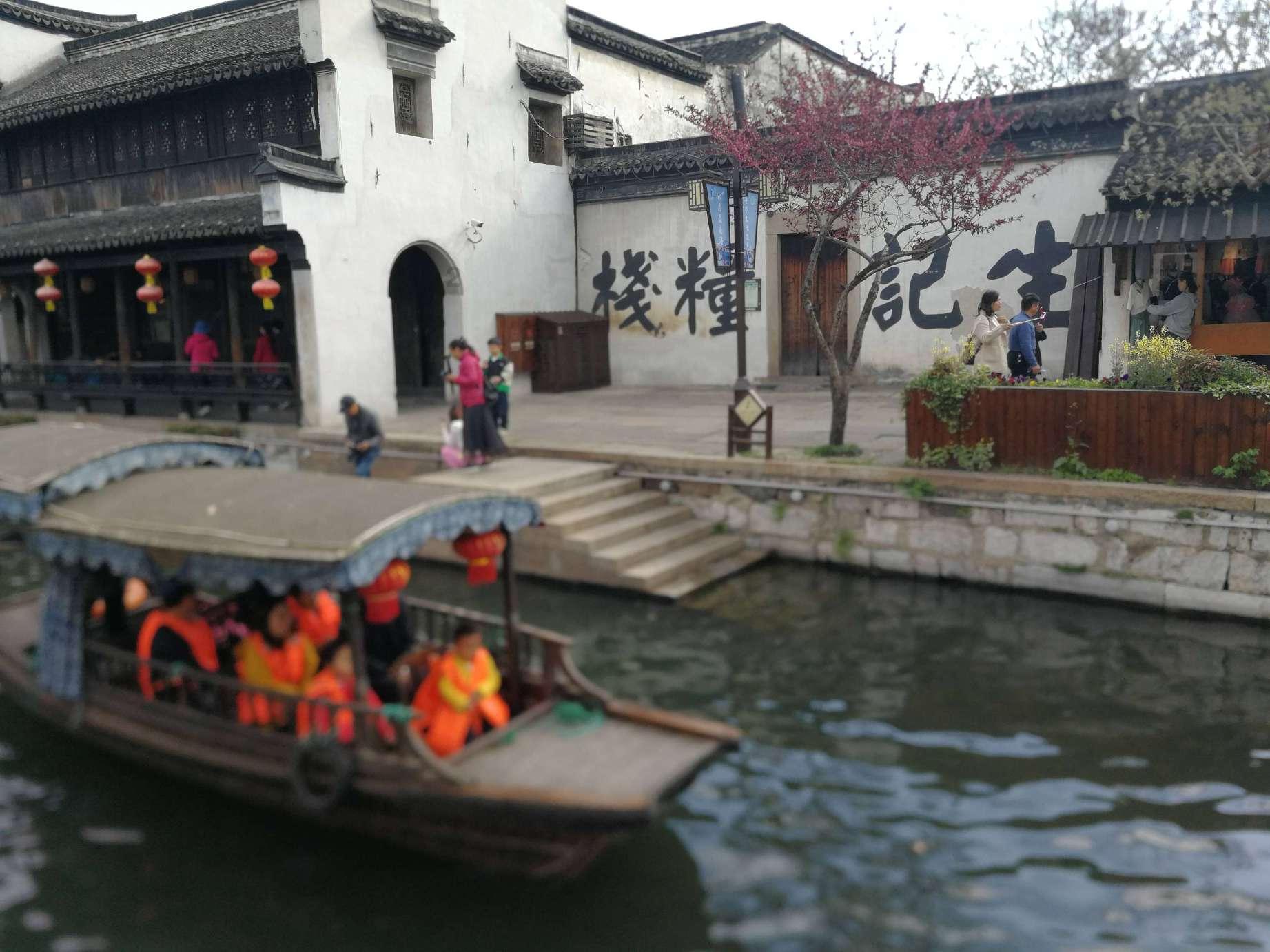 救援达尔马提亚狗