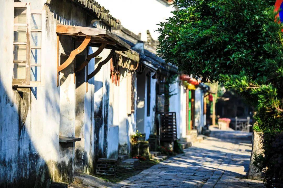 虞书欣、张彬彬二搭现偶，邓凯、经超惊喜加盟，《鲸鱼小姐》启动