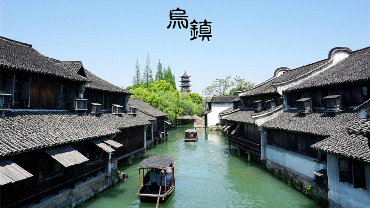 可怜猫的救援