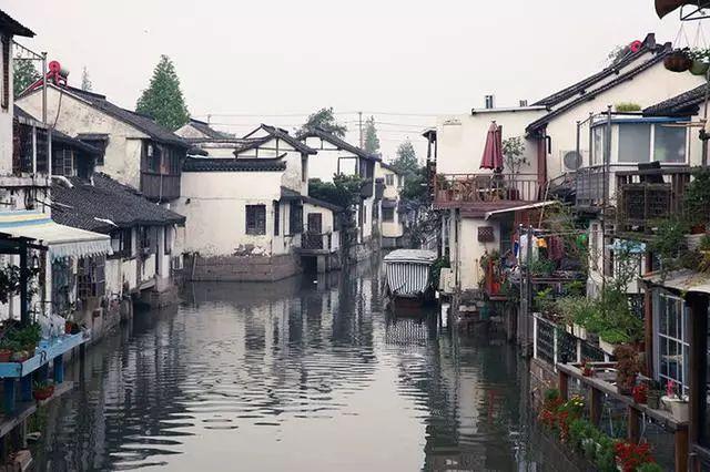 杀手6