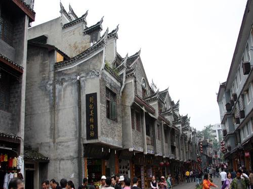 营救小乌龟