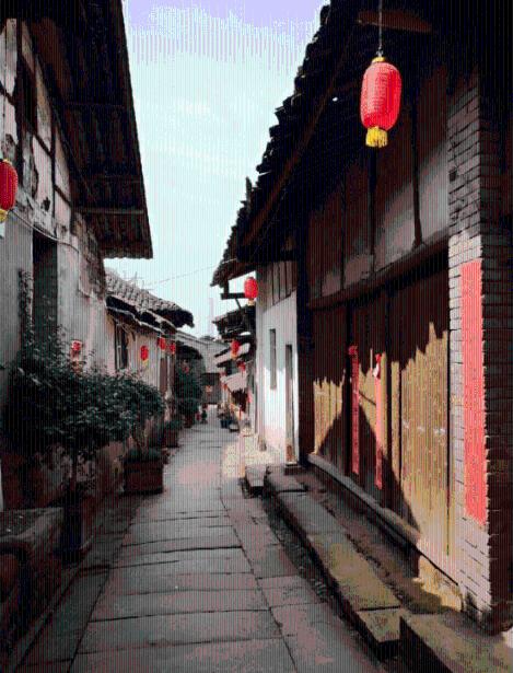 第九只兔子搞笑日常