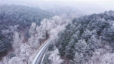 身体出现问题，眼睛会发信号！医生提醒：这几种眼部症状早查！