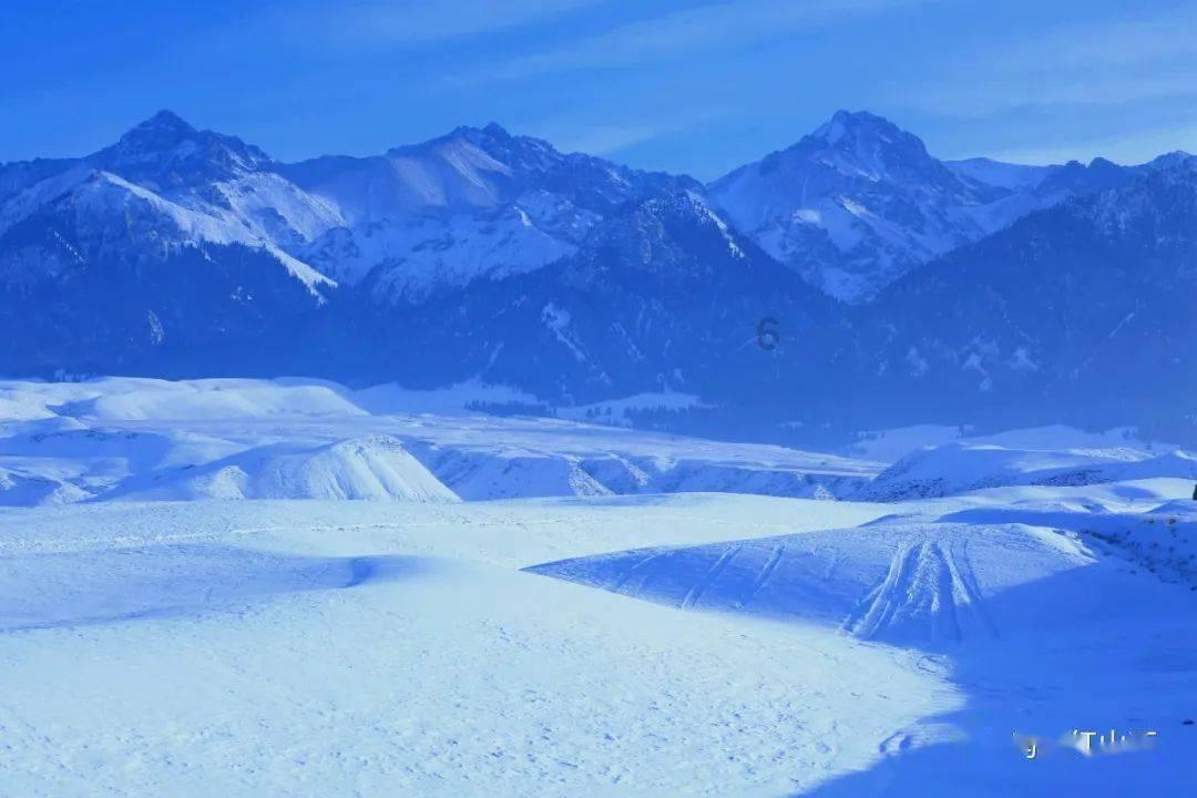 免费在线匿名聊天入口