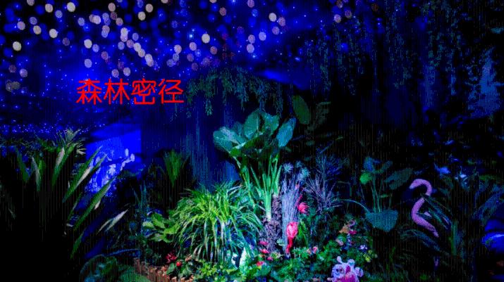 引球进框选关版