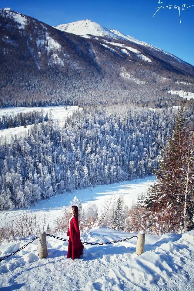 上海“小生煎包”勇闯中国雪谷、龙江凤凰山,“花式”宠溺直呼吃不消